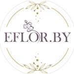 Eflor