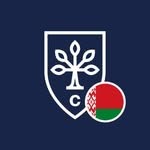 City Business School