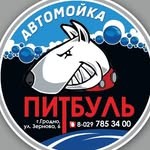 Автомойка и шиномонтаж «Питбуль»