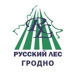 Компания «Русский лес»
