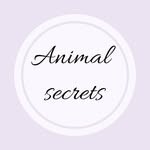 Зоо-салон  «Аnimal secrets»