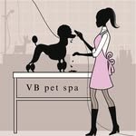 VB PET SPA