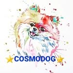 Груминг-салон "COSMODOG"
