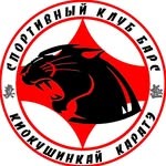 Спортивный клуб «Барс»