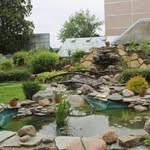 Эколого-биологический центр детей и юношества