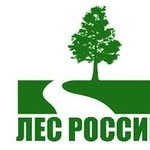 Лес России