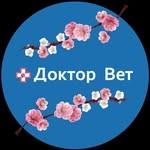Доктор Вет