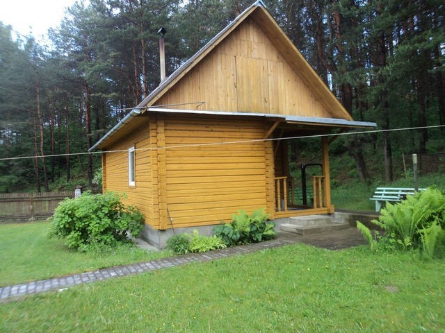 Сосновая опушка